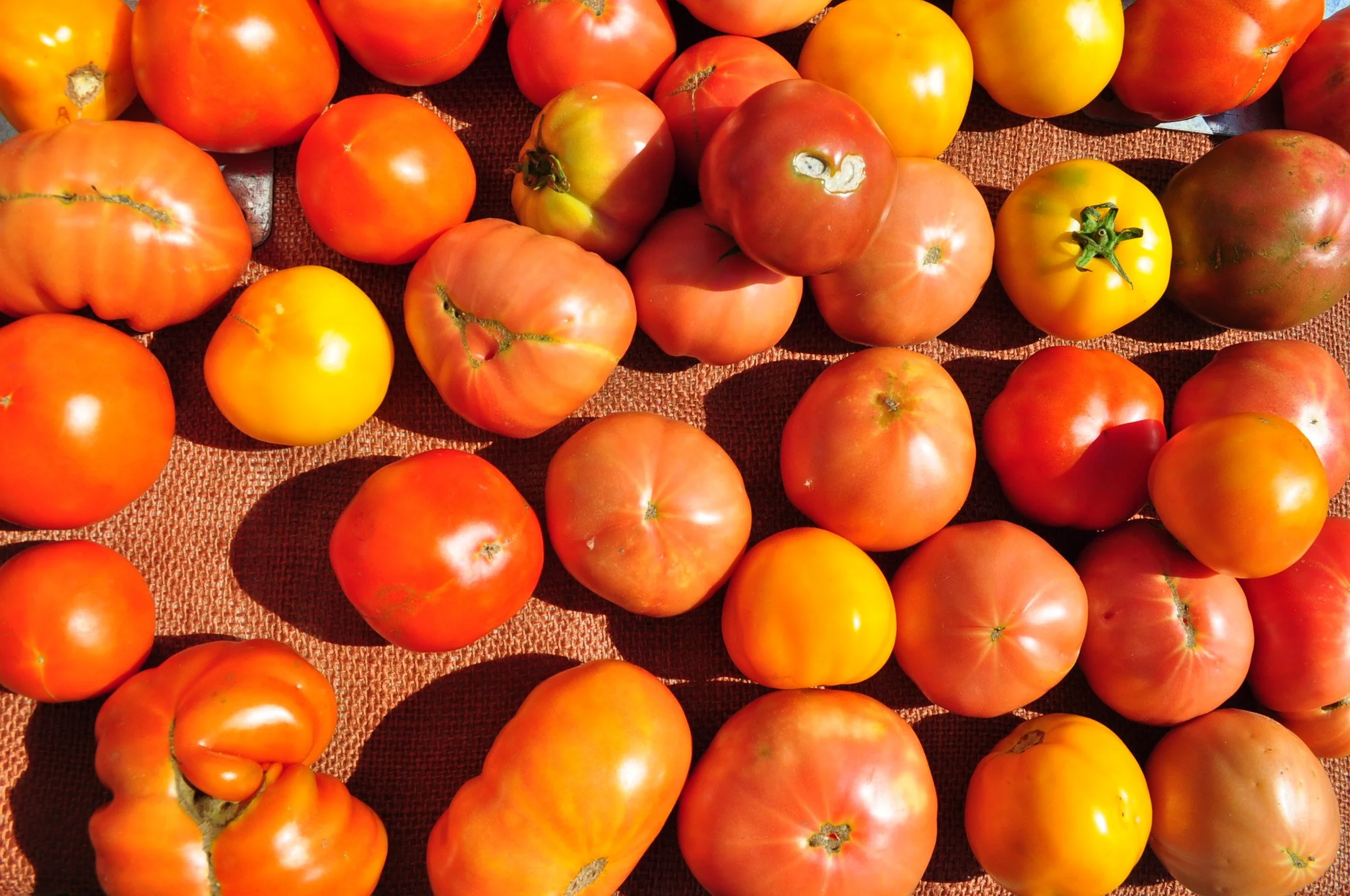 Carrboro Farmers' Market