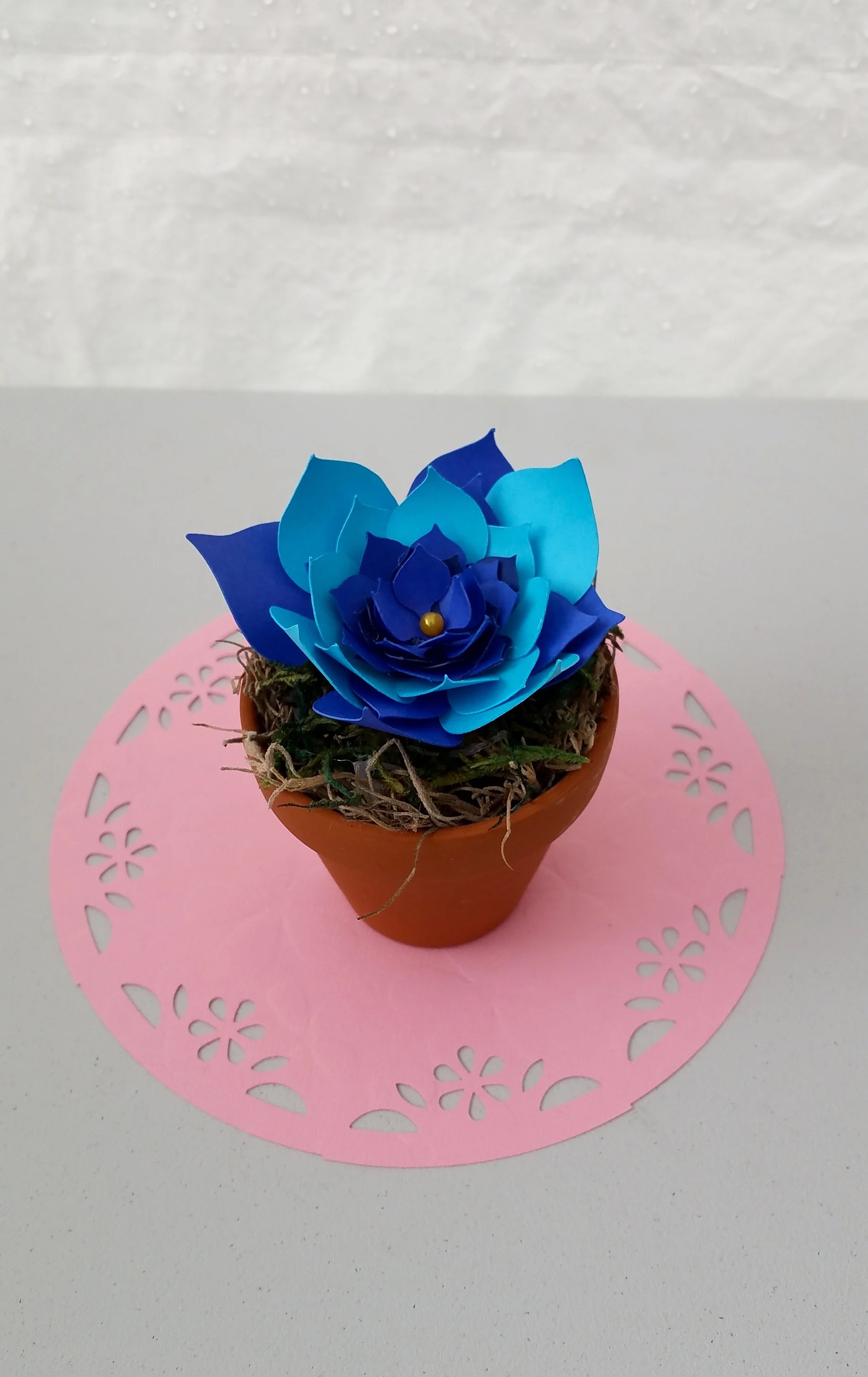 20150913_160935.jpg