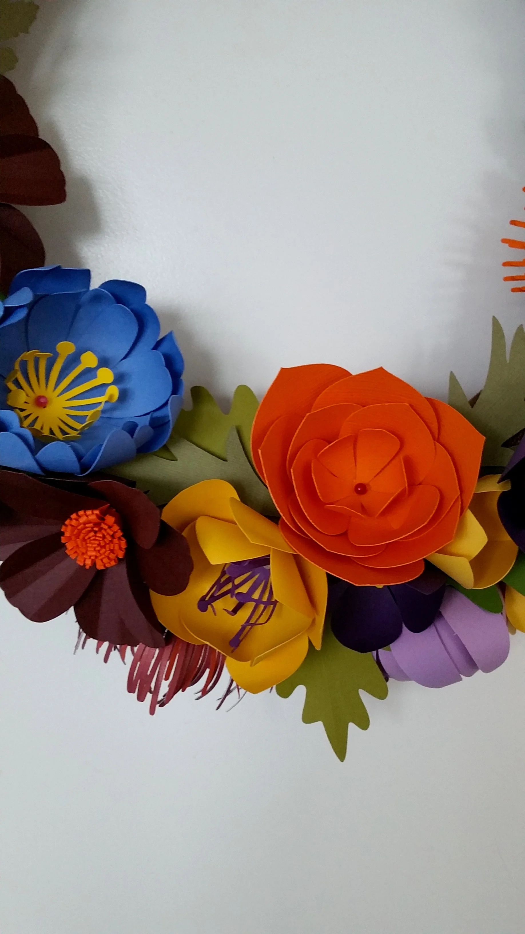 20150928_131007.jpg