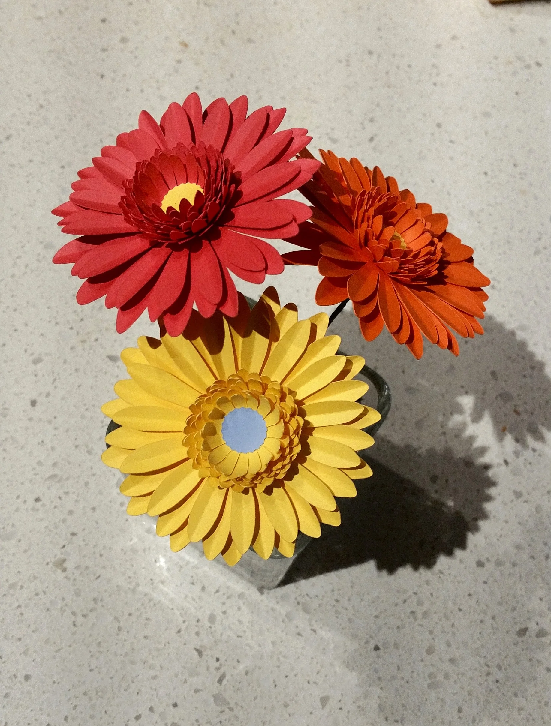 20151217_160547.jpg