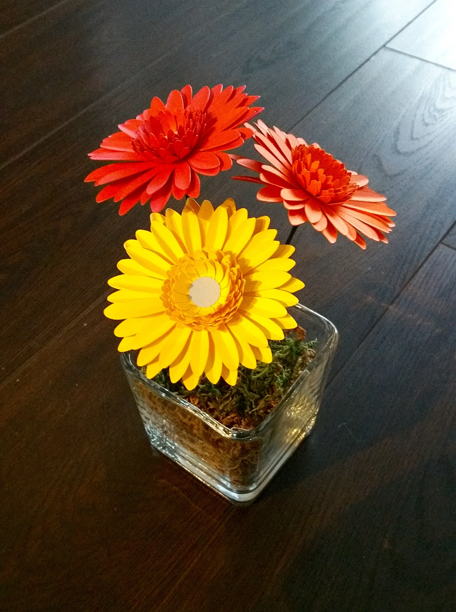 20151217_160601.jpg