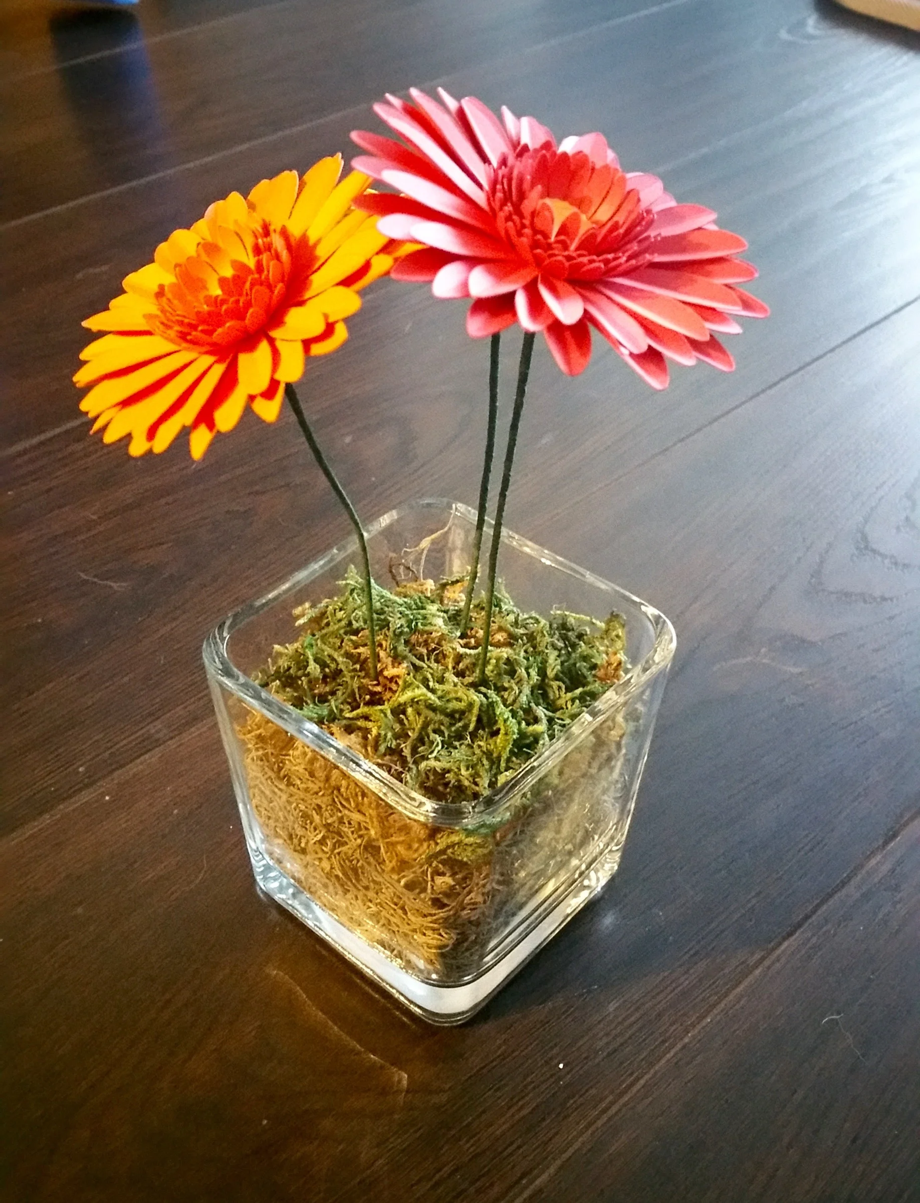 20151217_160616.jpg