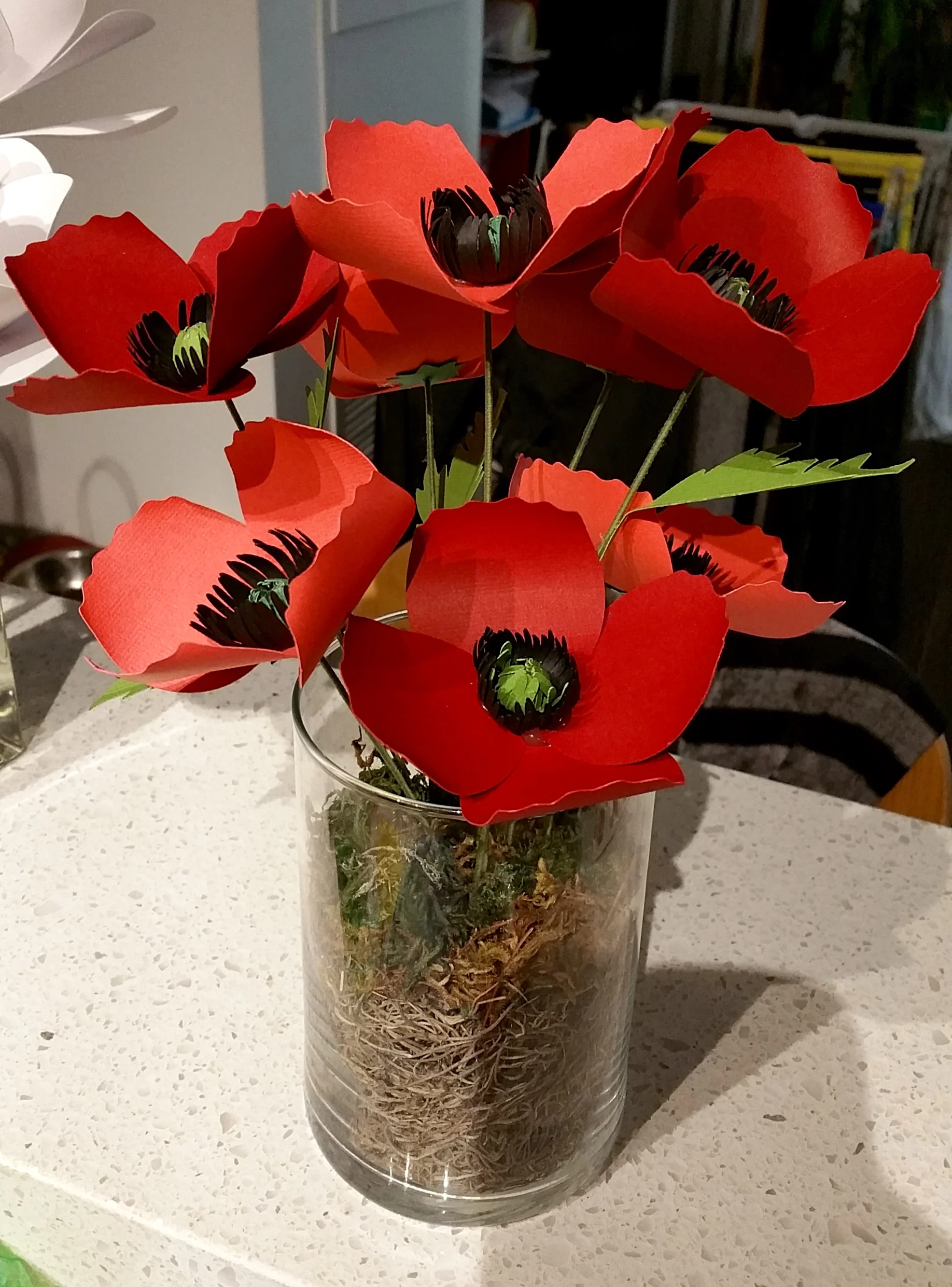 20160108_204611.jpg