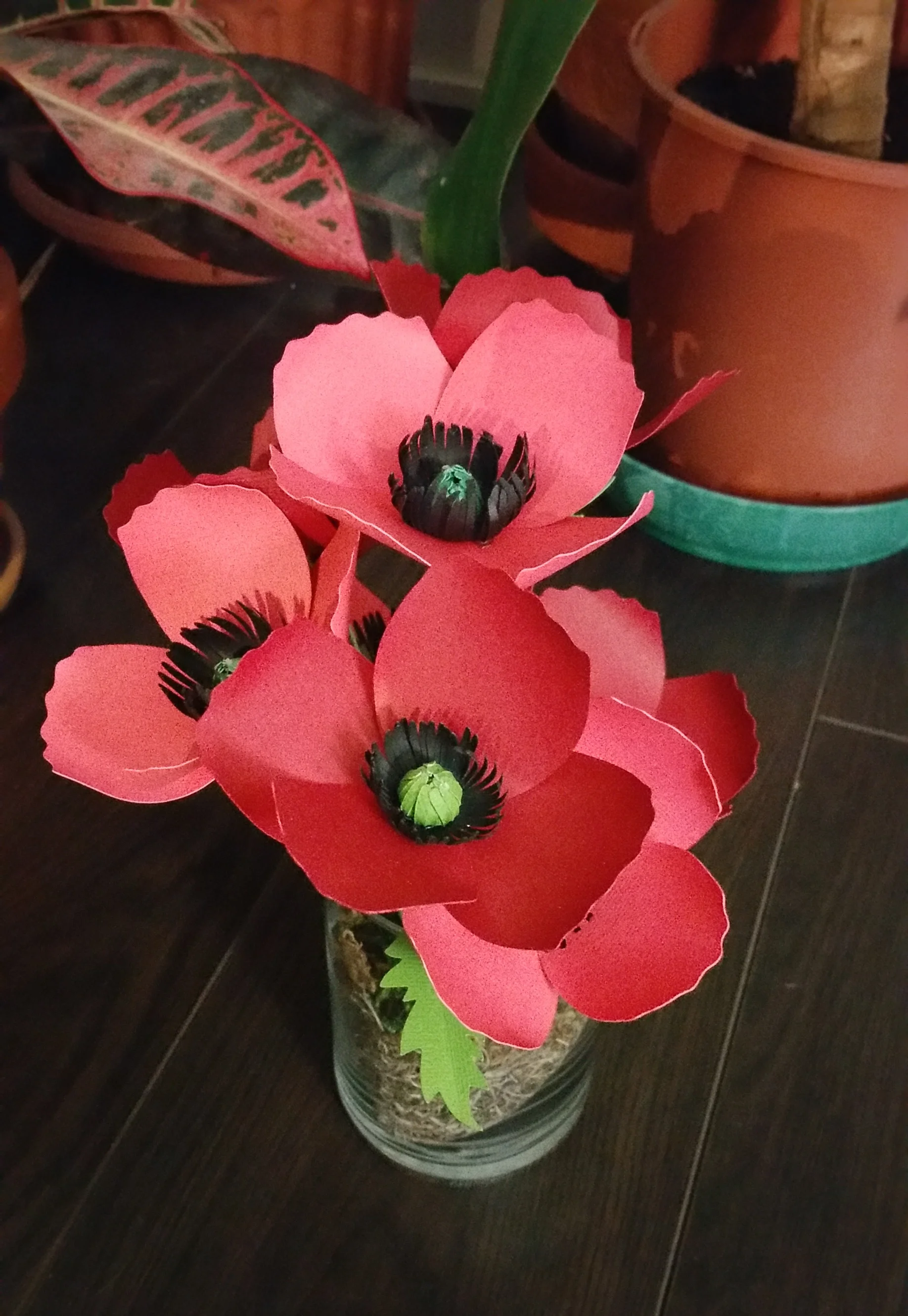 20160108_204639.jpg