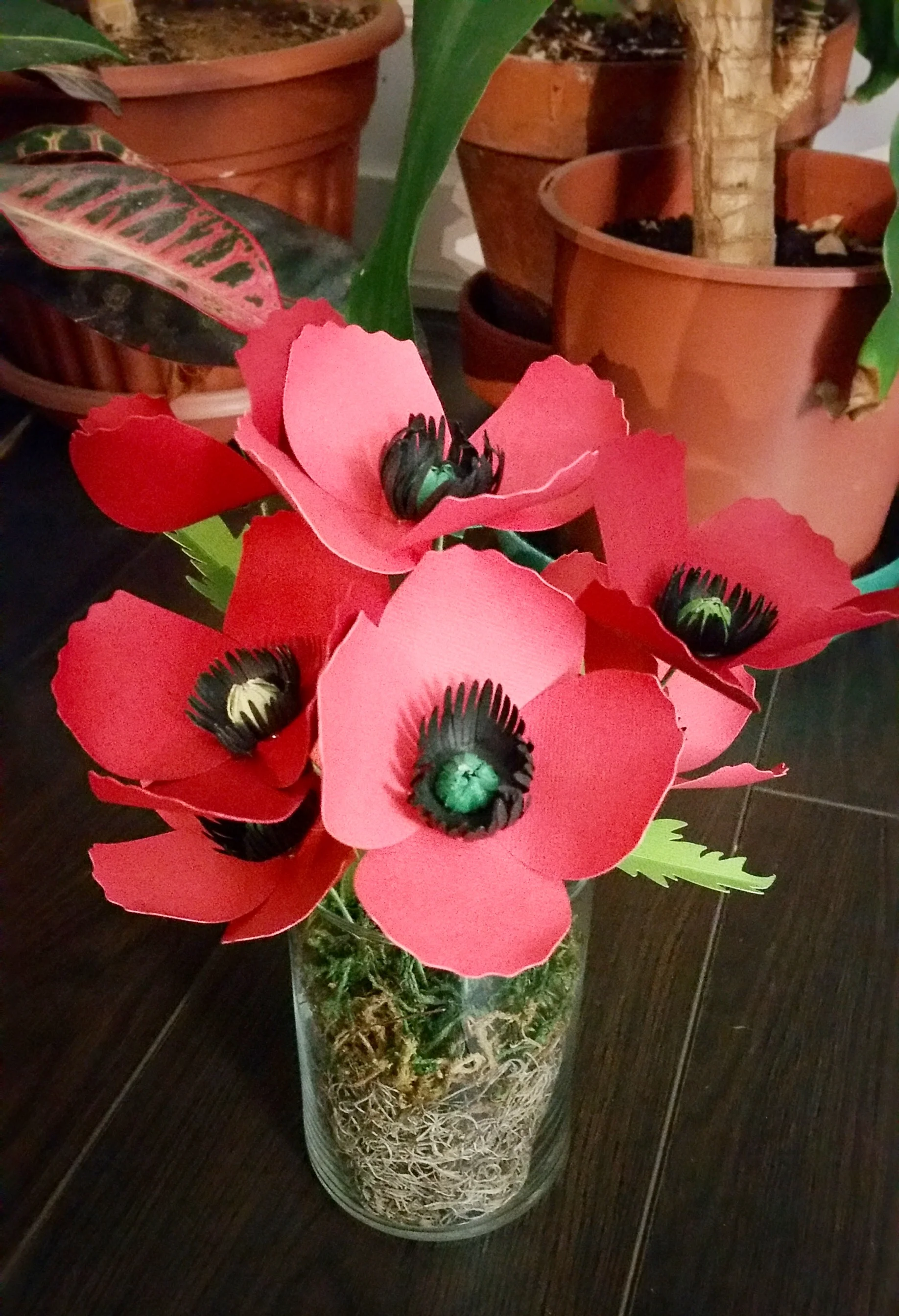 20160108_204650.jpg