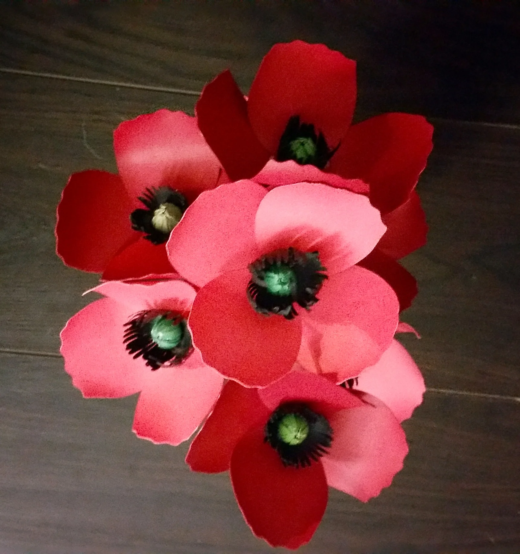 20160108_204702.jpg