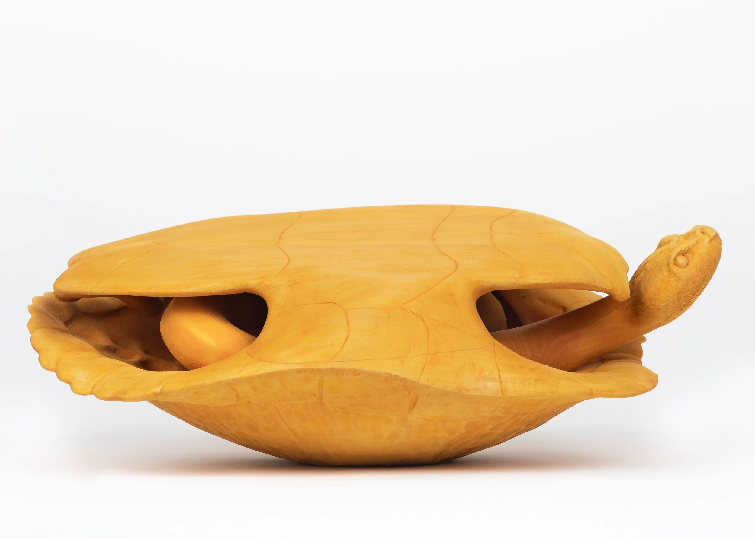 Henrik_M_Soerensen-Turtle- OCHI-2.jpg