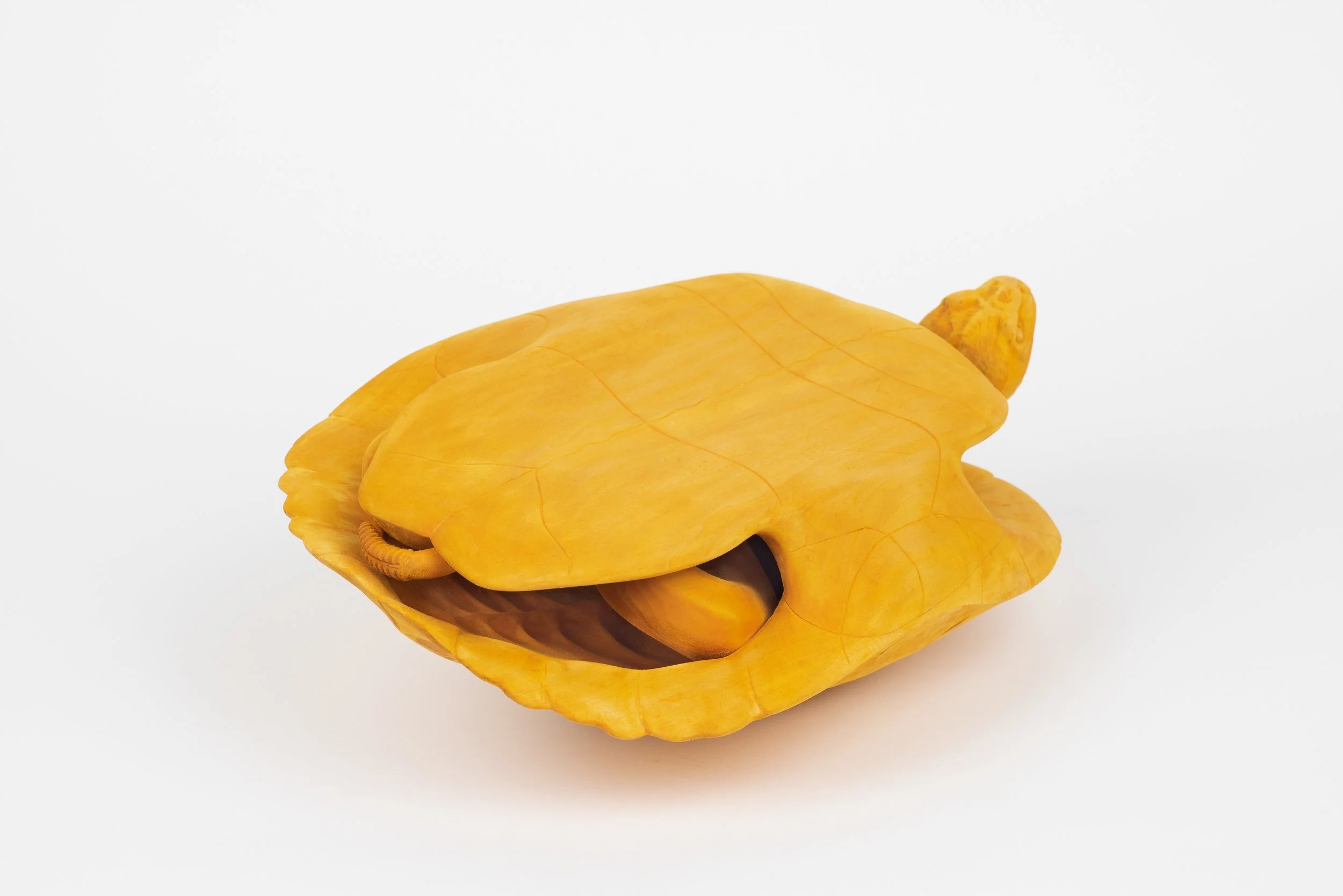 Henrik_M_Soerensen-Turtle- OCHI-5.jpg