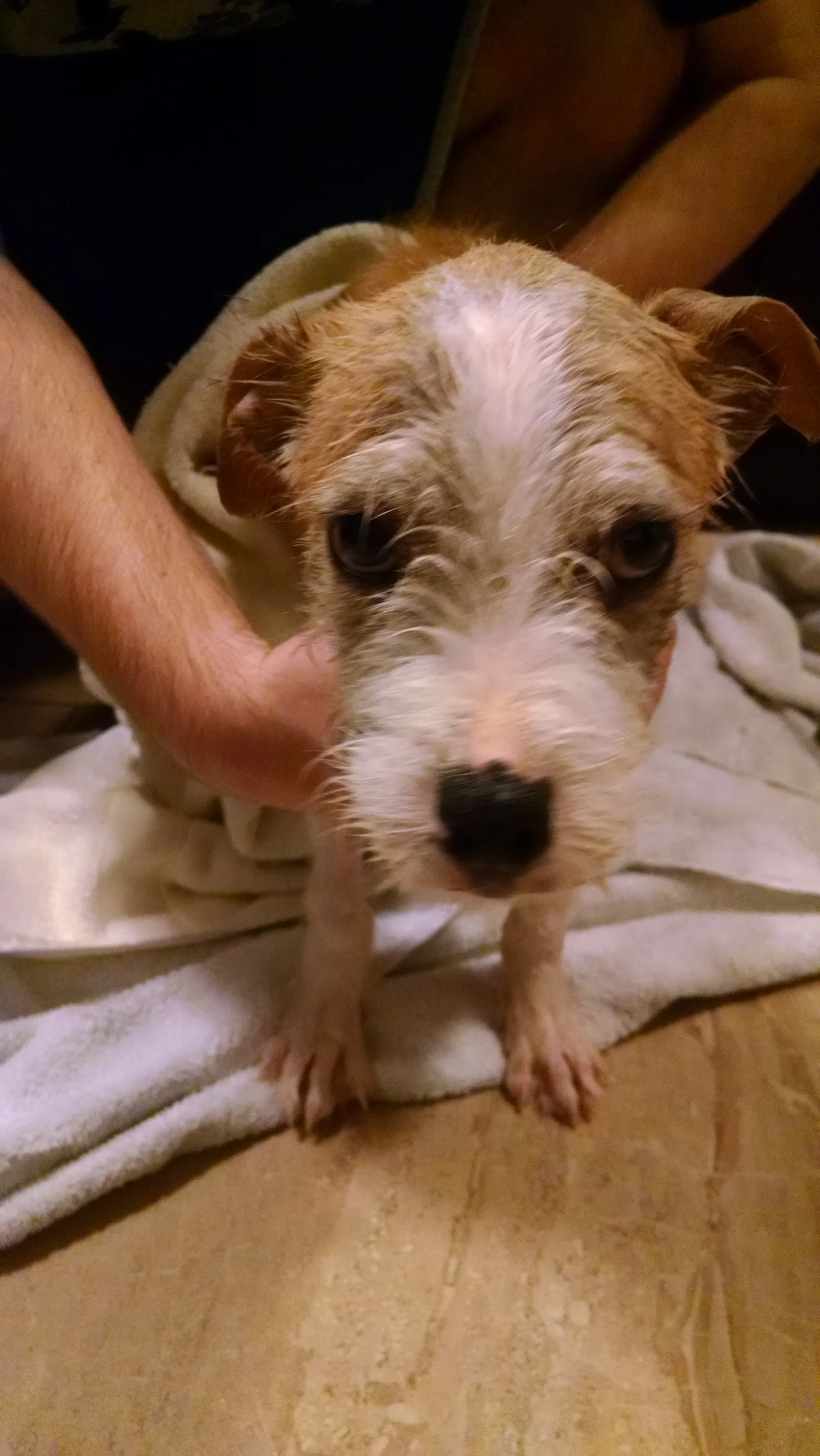 Jessica getting a bath