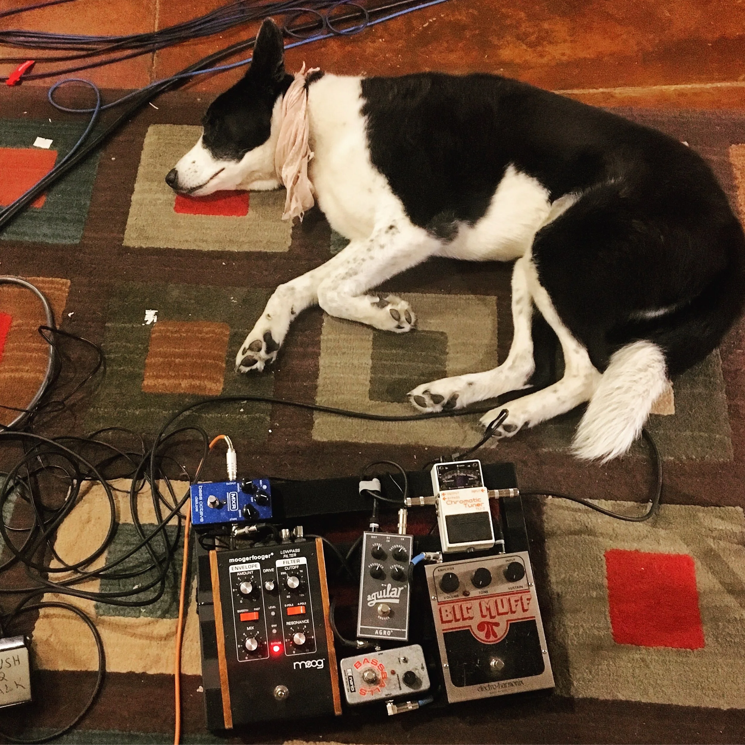 Miles and Pedals.jpg