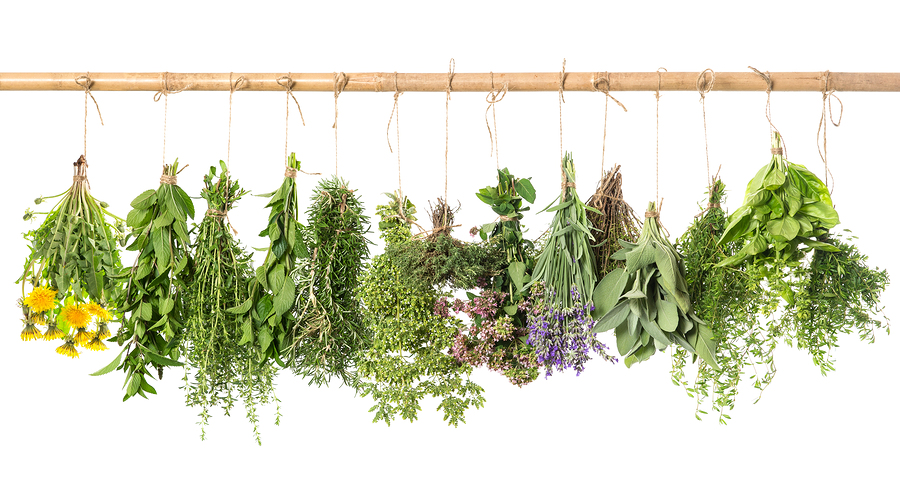 bigstock-Fresh-Herbs-Hanging-Isolated-O-74046136.jpg