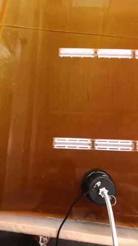 giphy 3.GIF