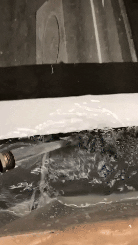 giphy 5.GIF