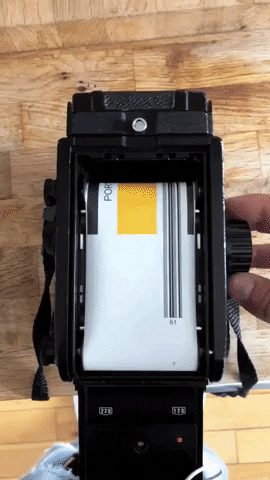 giphy 5 copy 4.GIF