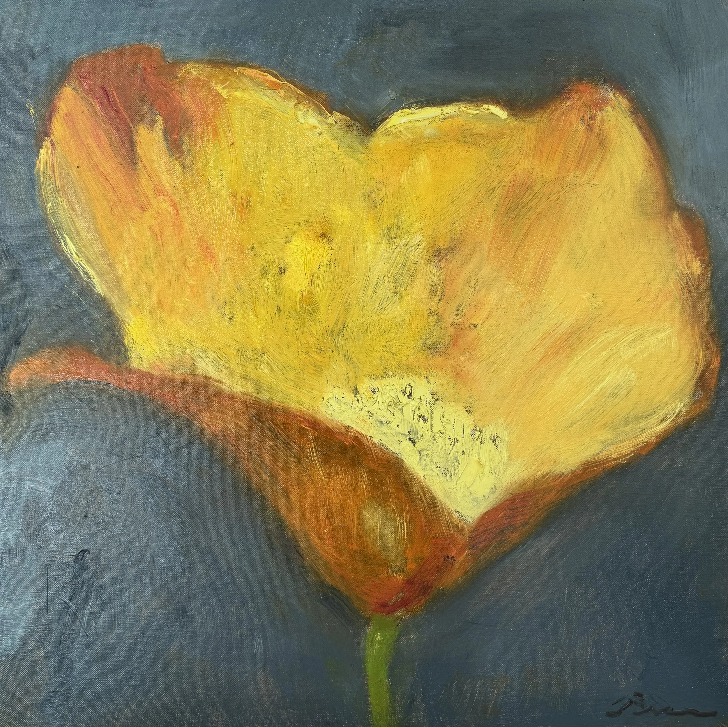 Poppy 24%22 x 24%22.JPG