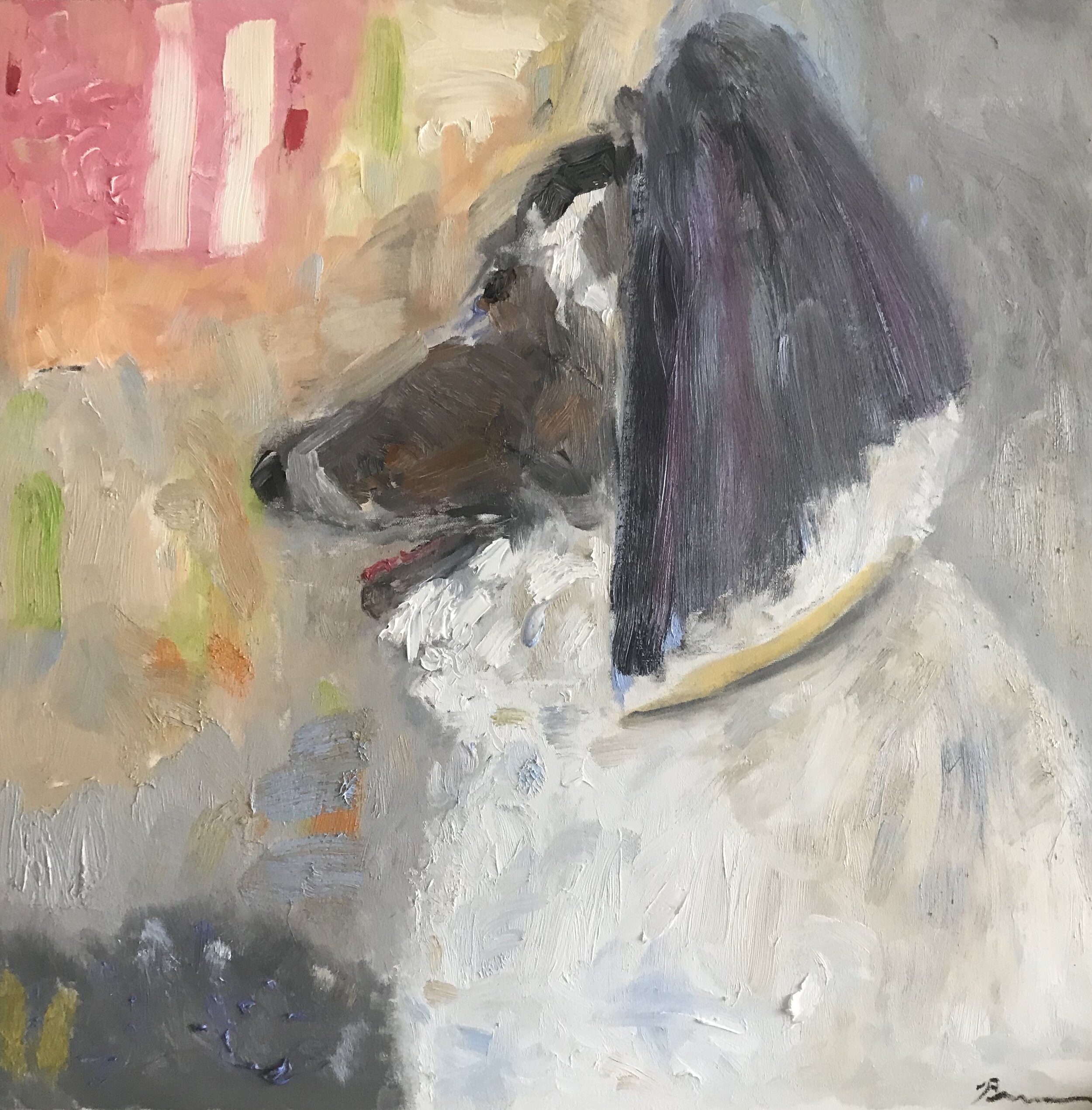 Cooper the Dog