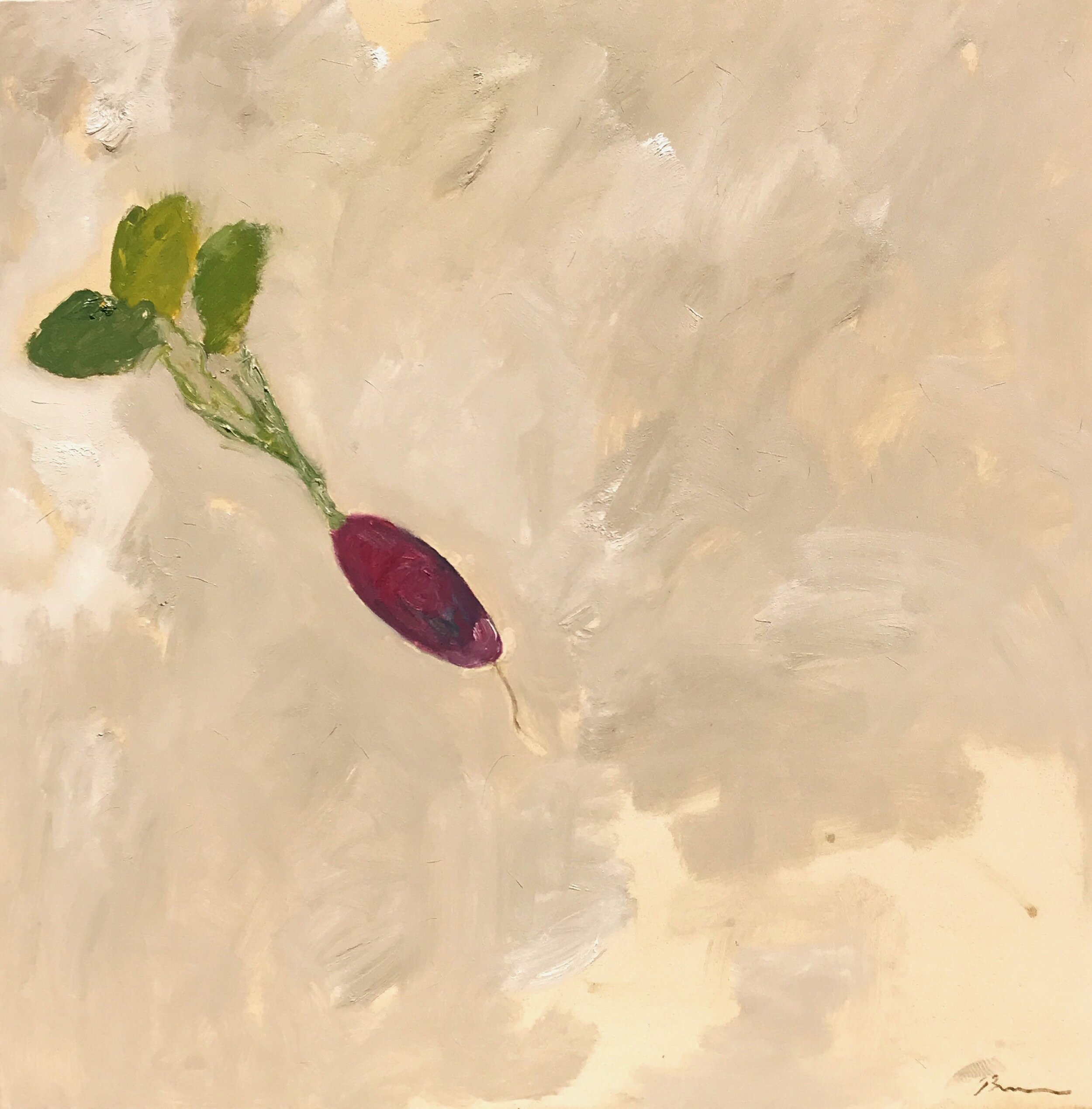 Radish