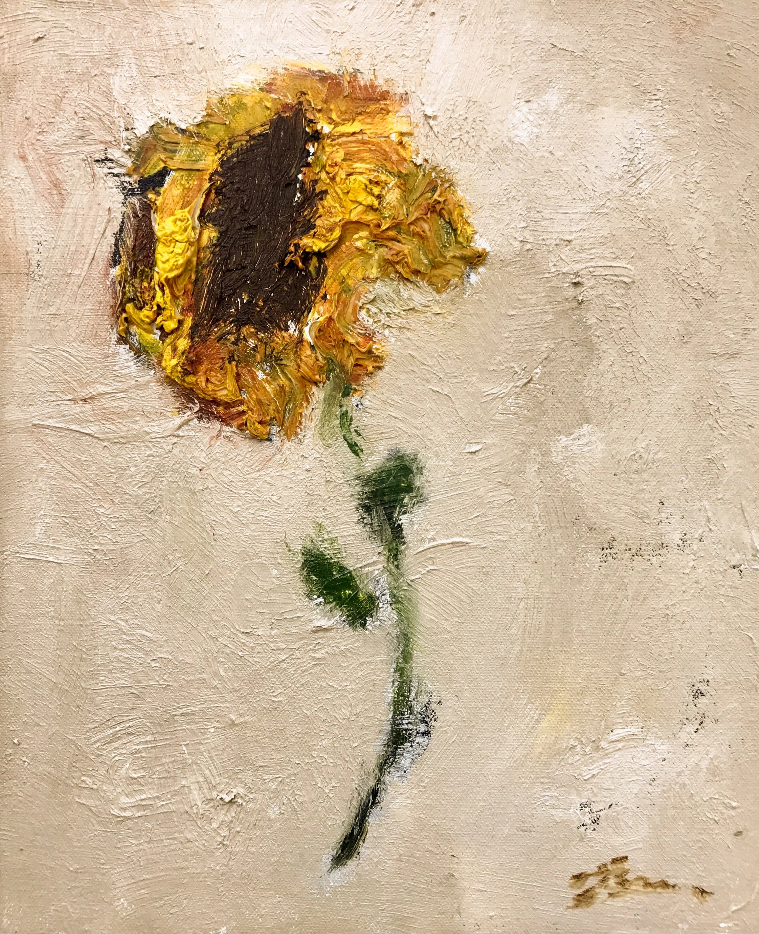 Singular Sunflower.jpg