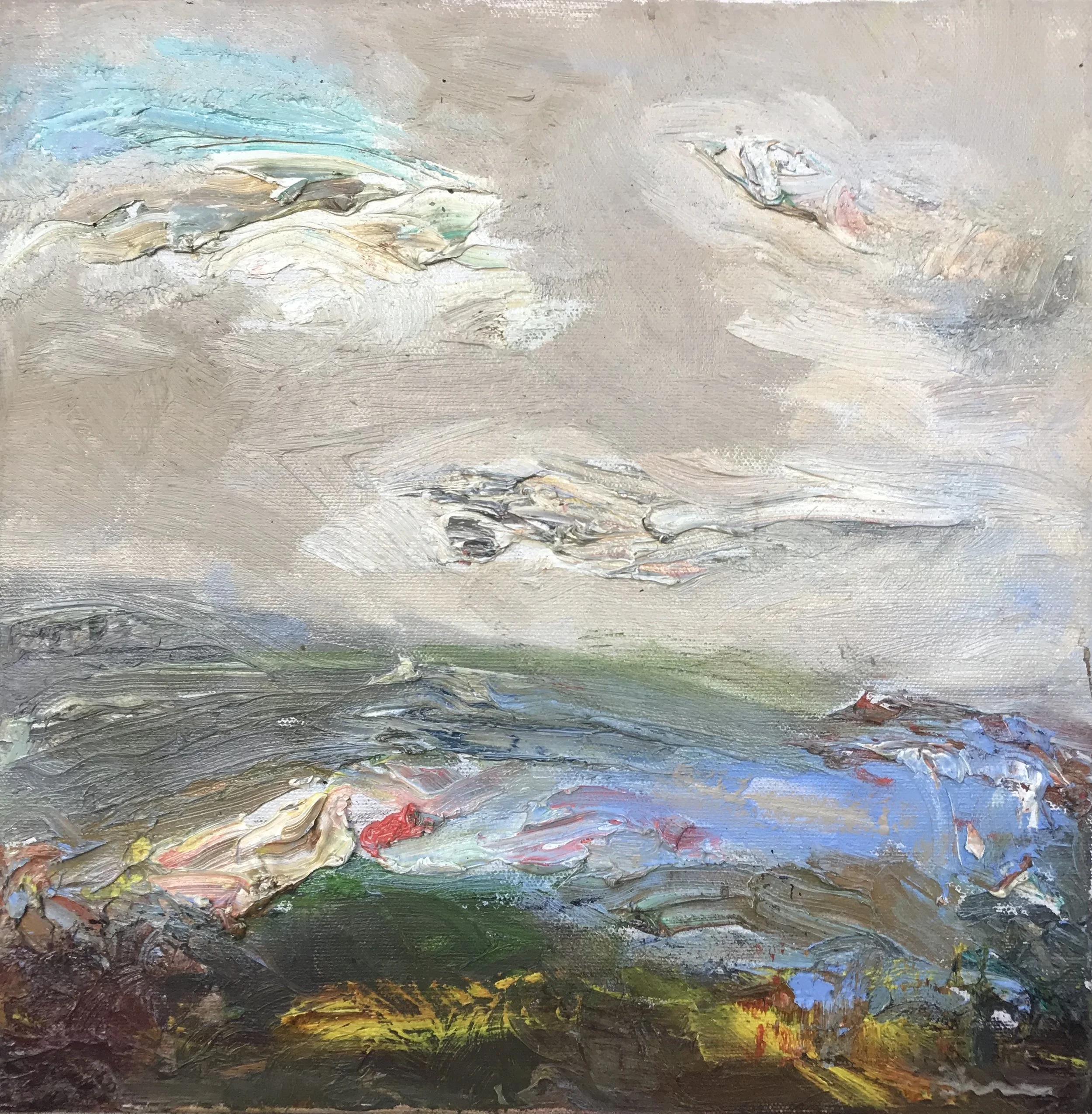 Pond Pondering Through the Clouds.jpg