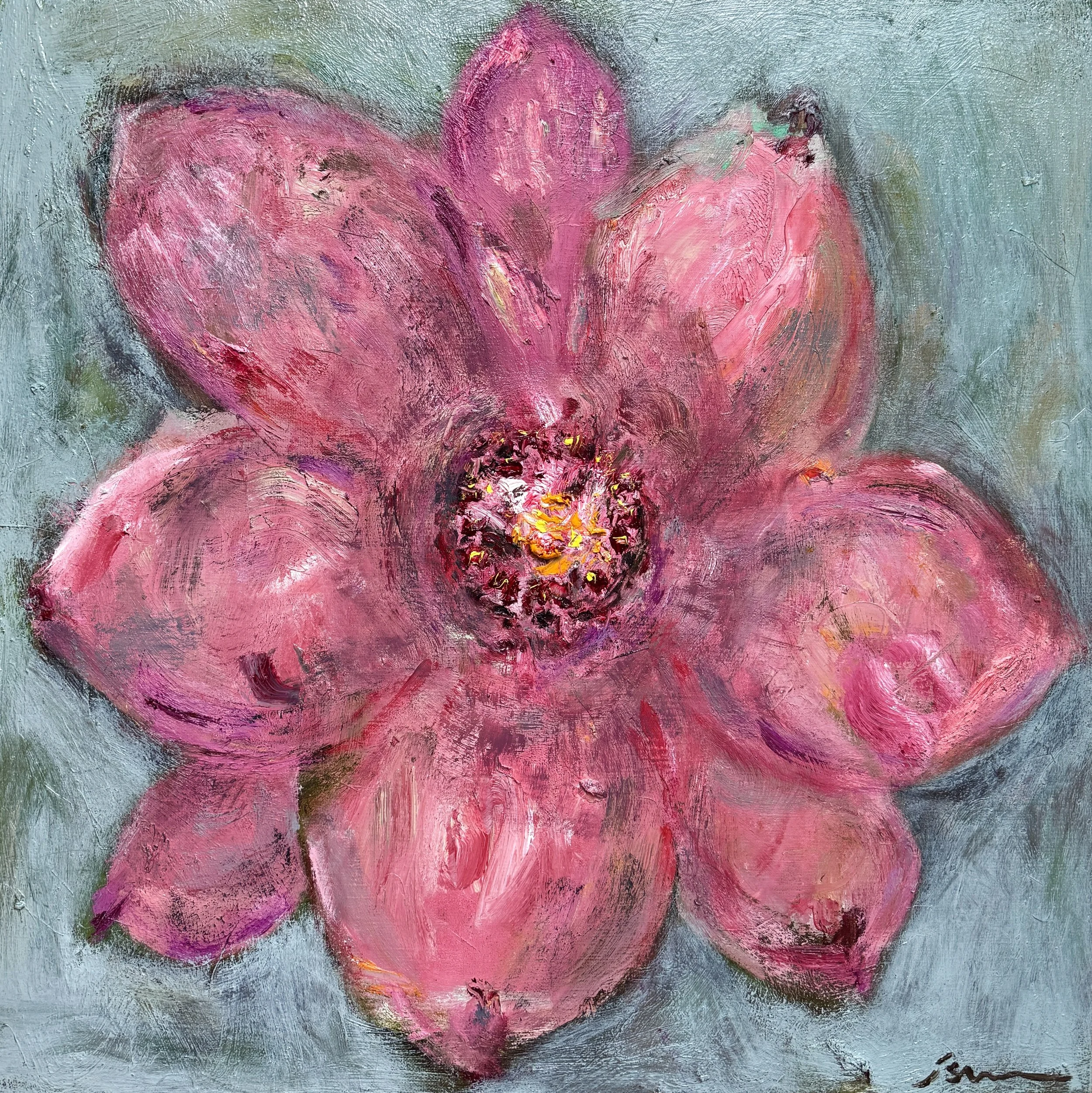 Magnolia.jpg