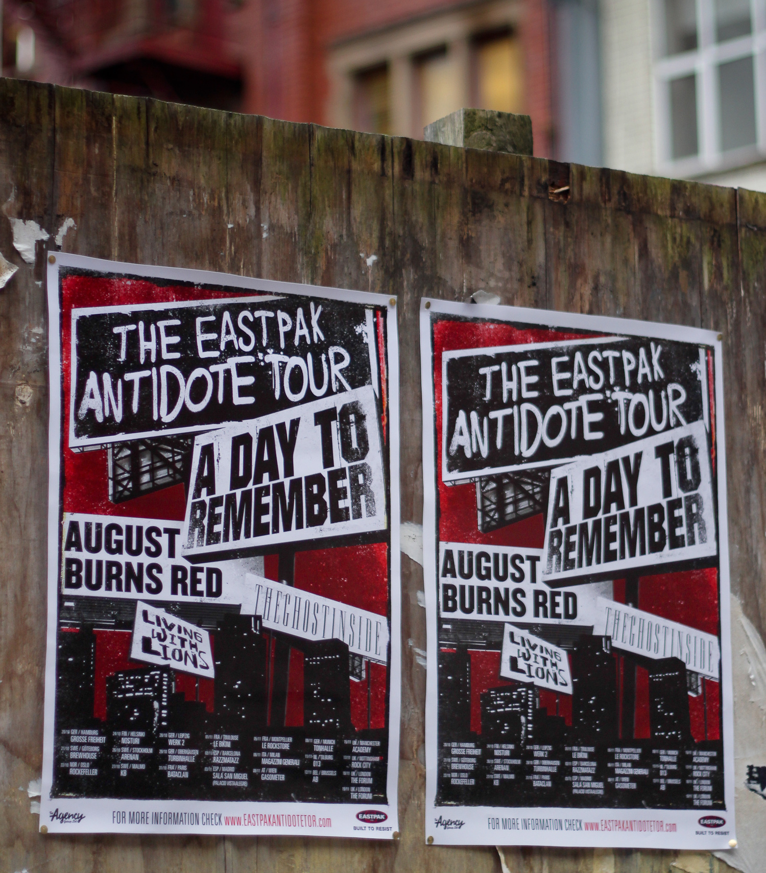 Belonend cent overhandigen Eastpak Antidote Tour — Matt Shilliday