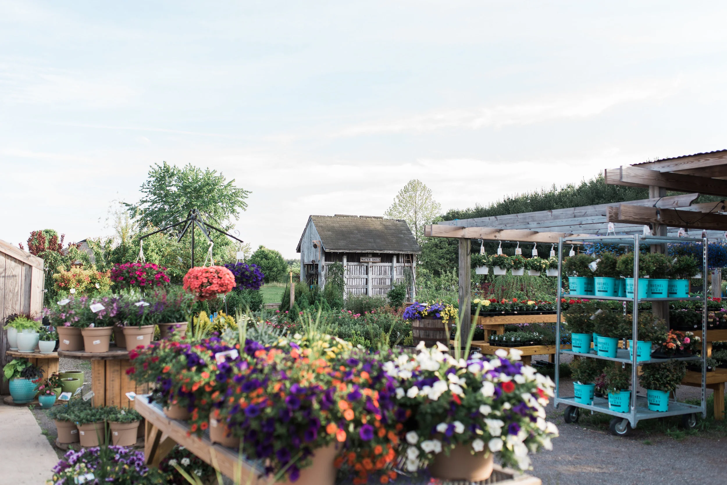 bast-brothers-garden-center.jpg