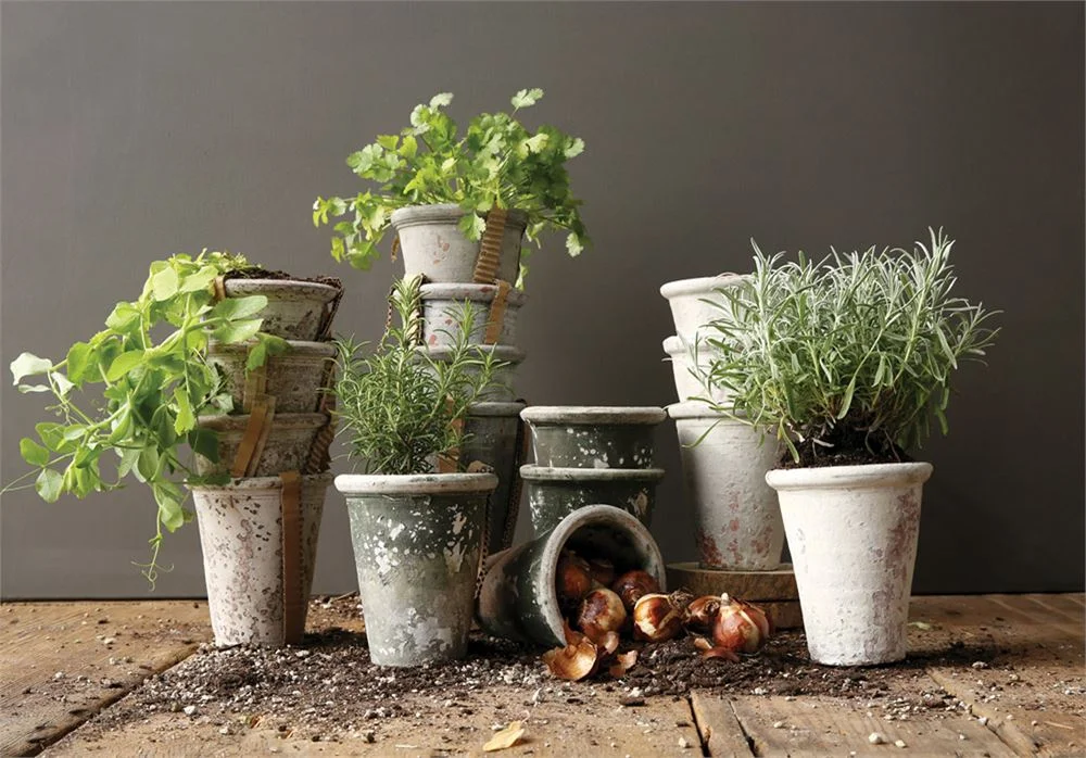 5-1:4%22 Round x 6-1:4%22H Clay Pot, Distressed Finish, 4 Colors.jpg