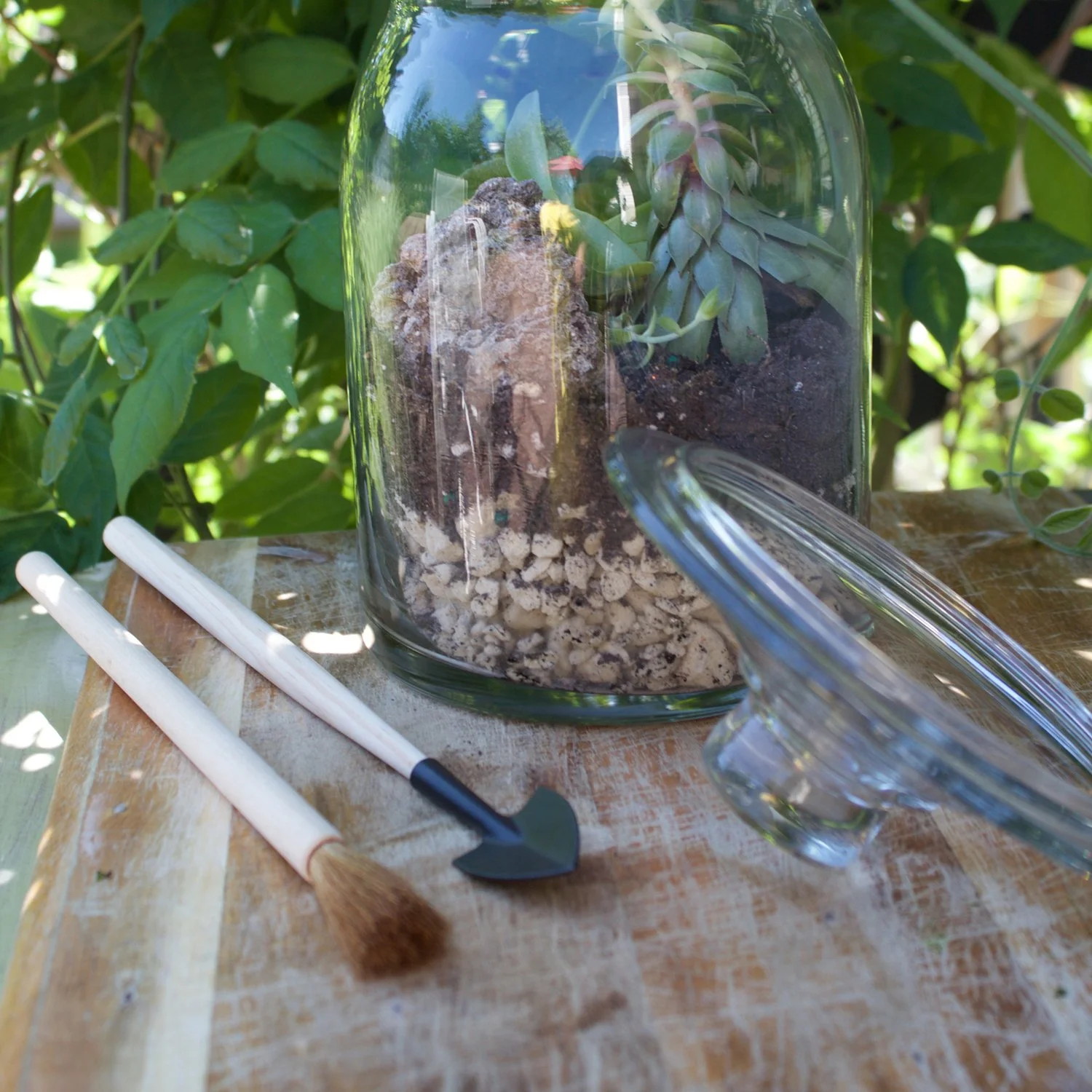 Terrarium Tools 2.jpg