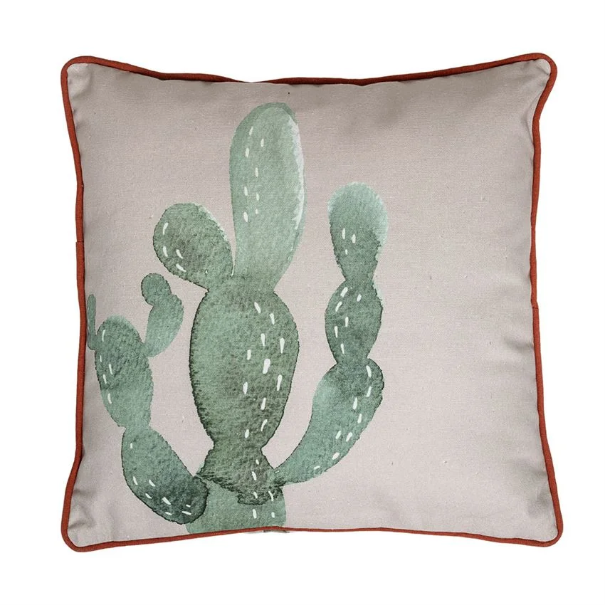 cactus pillow.jpg