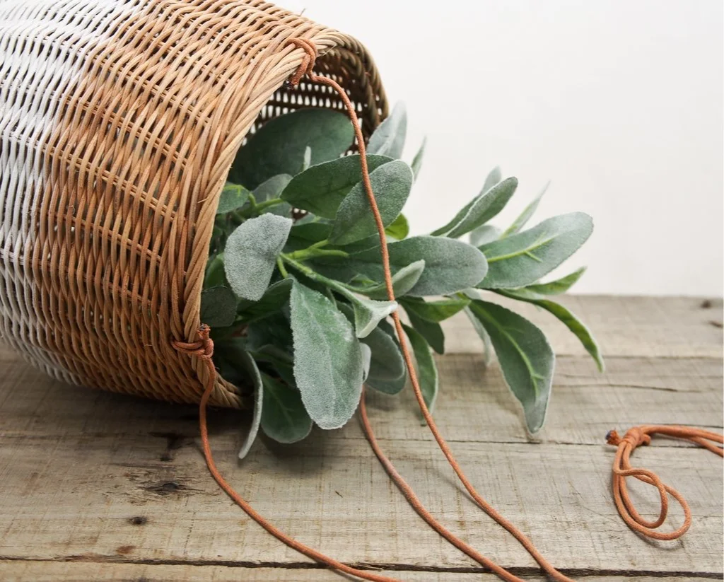 rattan+2.jpg