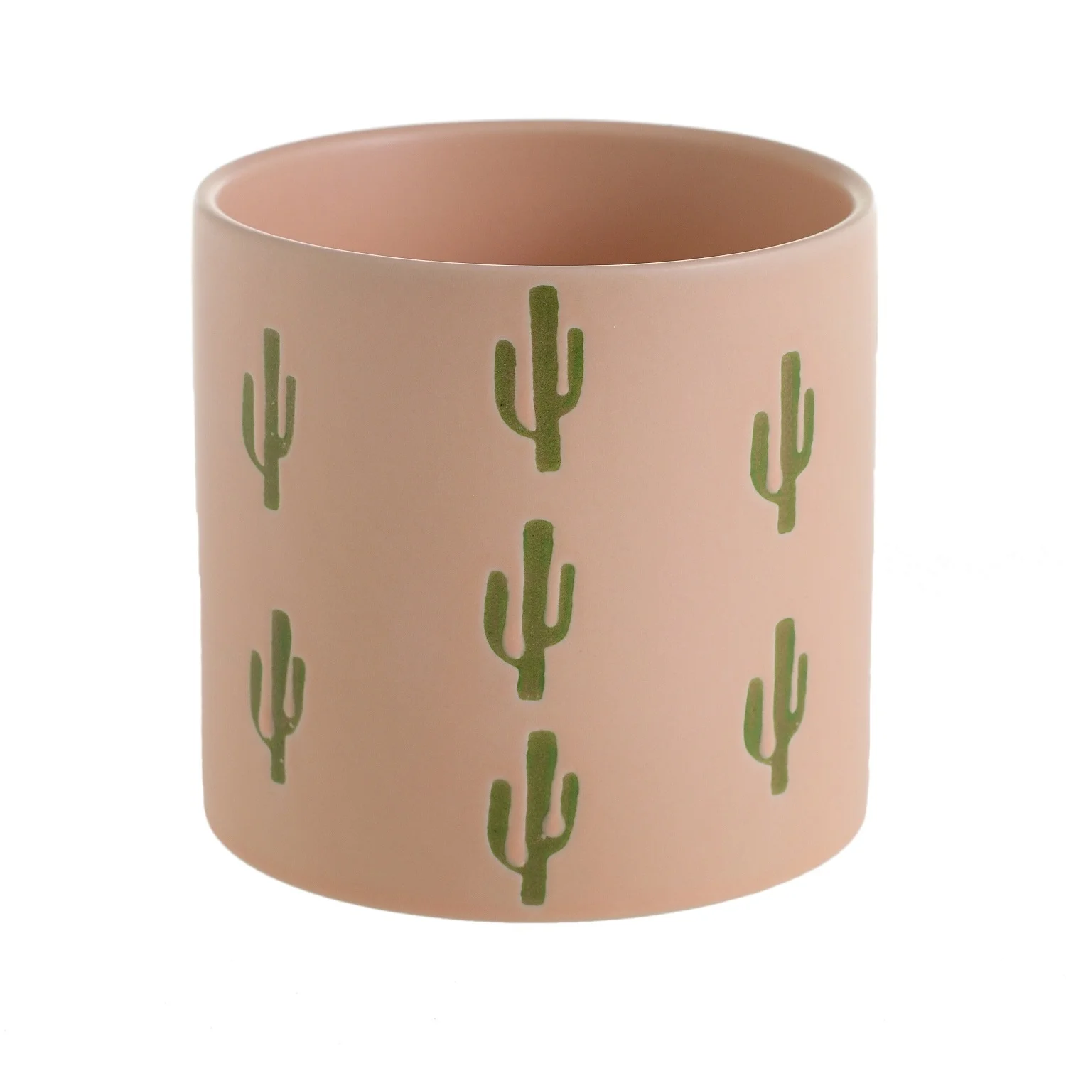 cactus pot 2.jpg