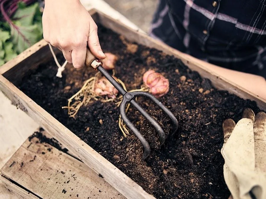 Cultivator_05_900x674_dbaf54a0-cfb6-468f-bd57-8f21acd54140.jpg