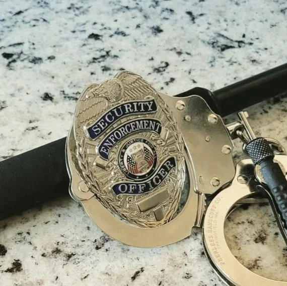 Unarmed DPSST (2-Day/RR/2026)