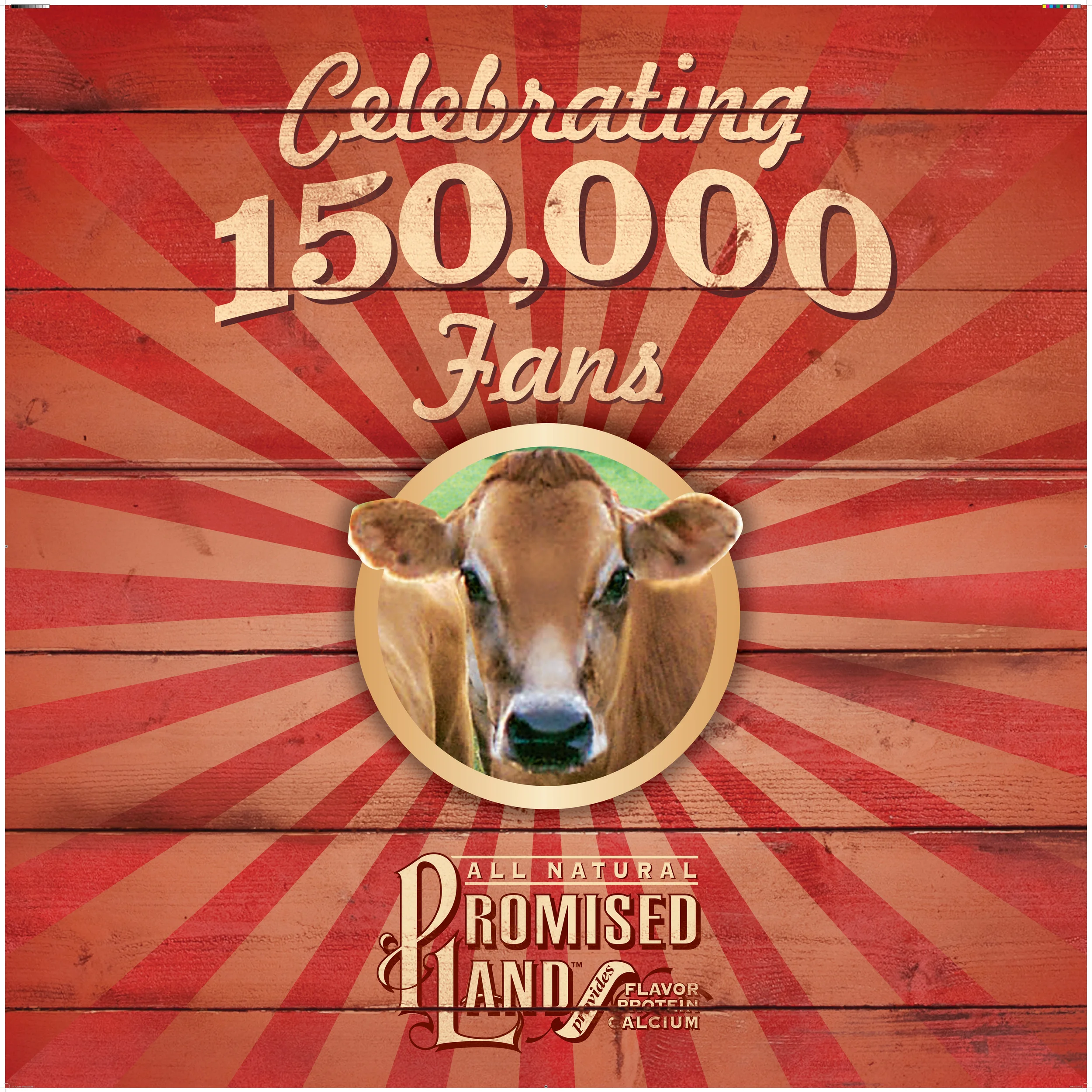 14_PLD_055_150KBanner.jpg