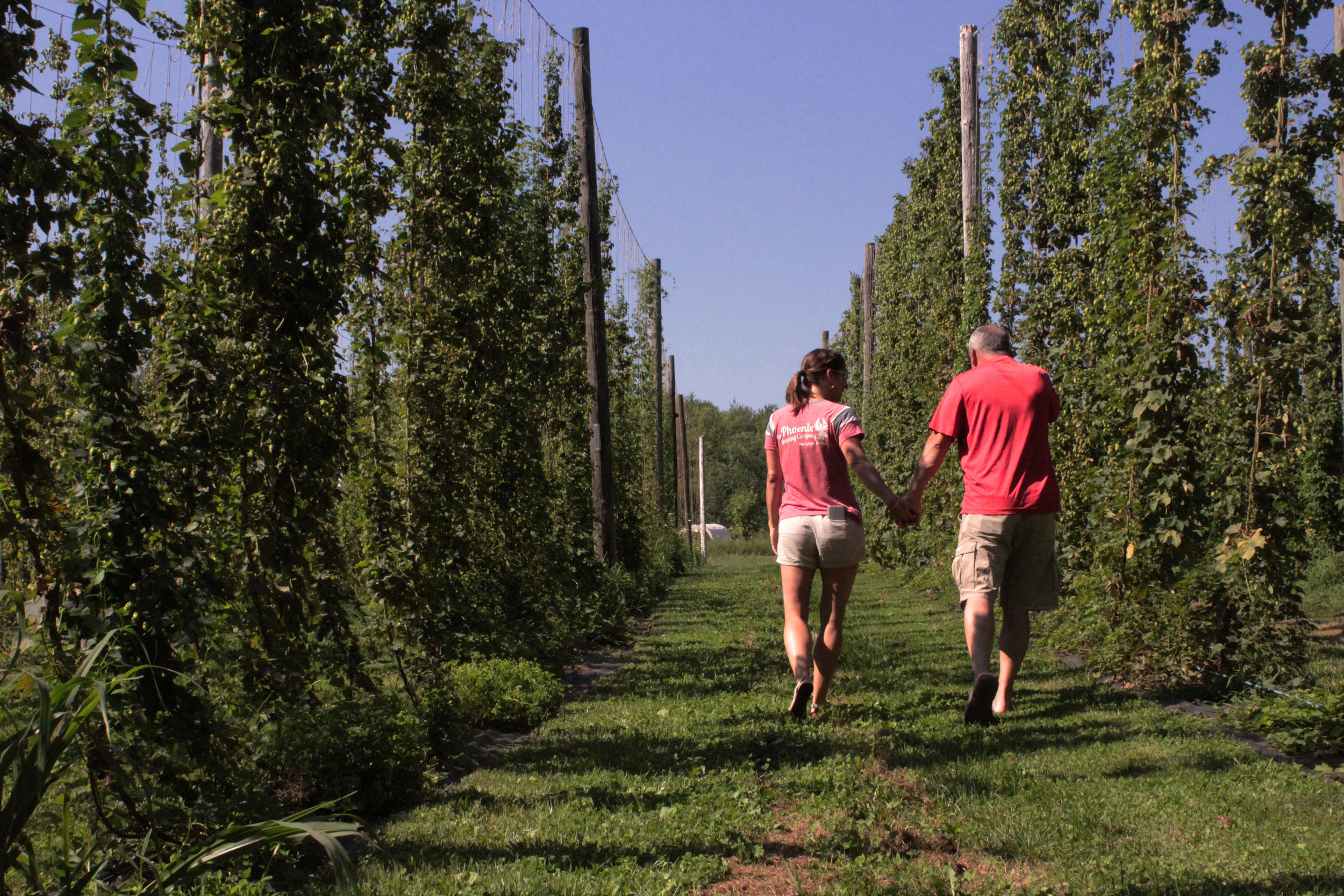 hop yard walk.jpg