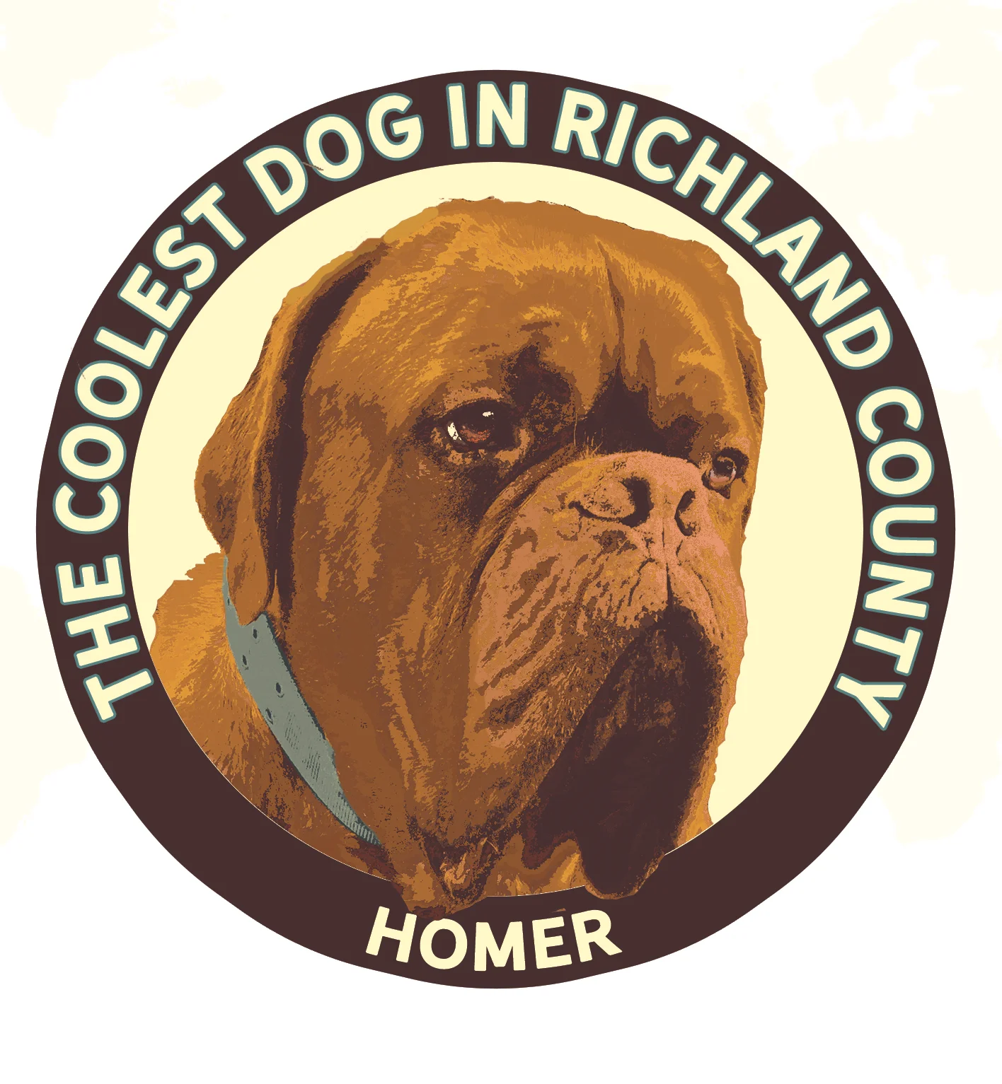 HOMER a French Mastiff, the same breed as Hooch, from Turner and Hooch, was voted the Coolest Dog in Richland County.