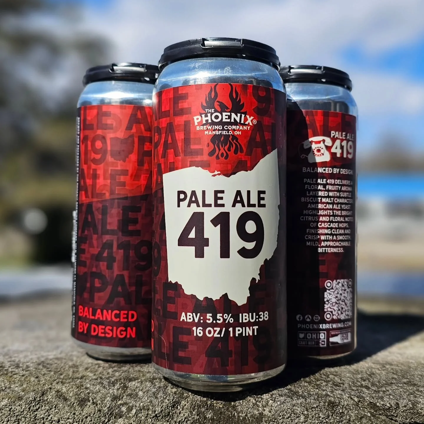 Pale Ale 419 cans in photography from The Phoenix Brewing Company’s homepage gallery