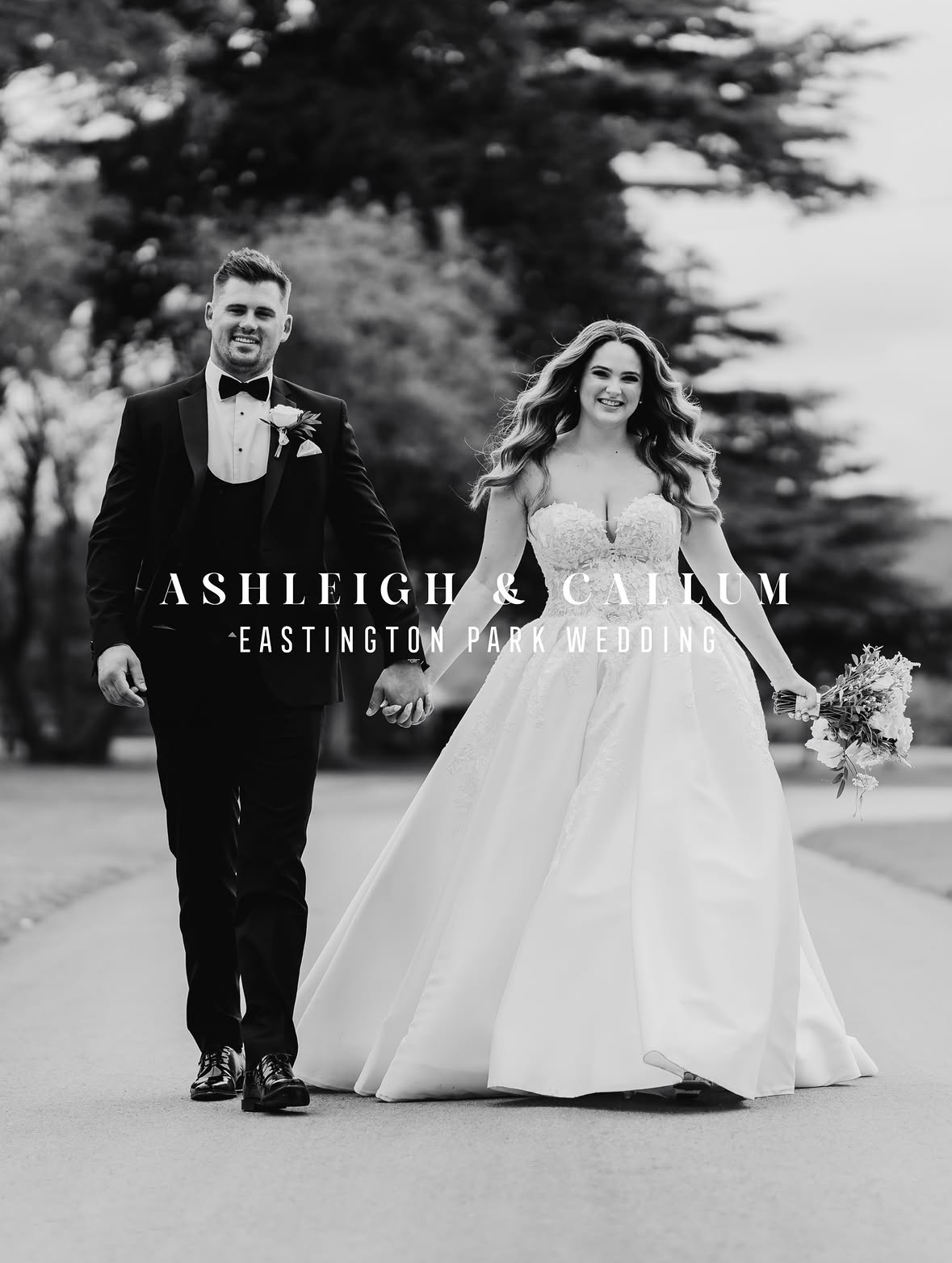 IMG_3536.PNG