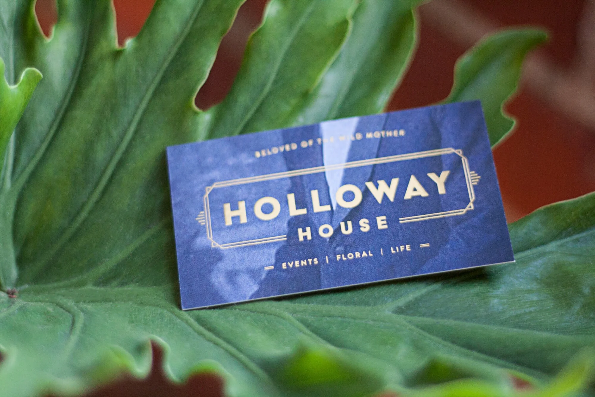 Holloway House business card with gold foil branding displayed on a large green tropical leaf, highlighting the venue's visual identity and logo design.