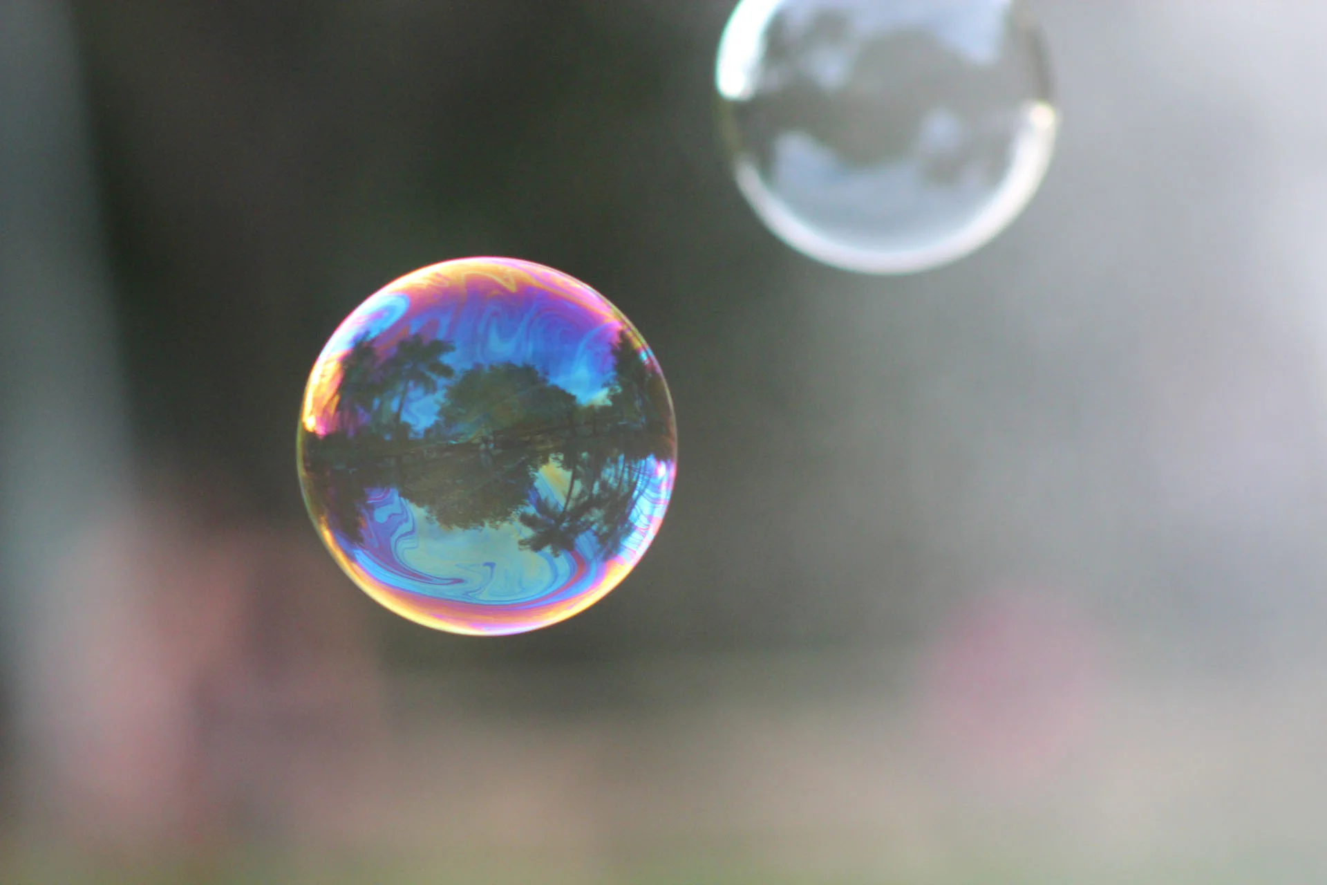 bubbles.jpg