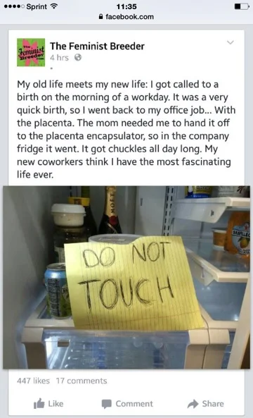 You won't have to worry if your organ was in a company freezer or placed in grandma's freezer while your doula or placenta encapsulation specialist was visiting.