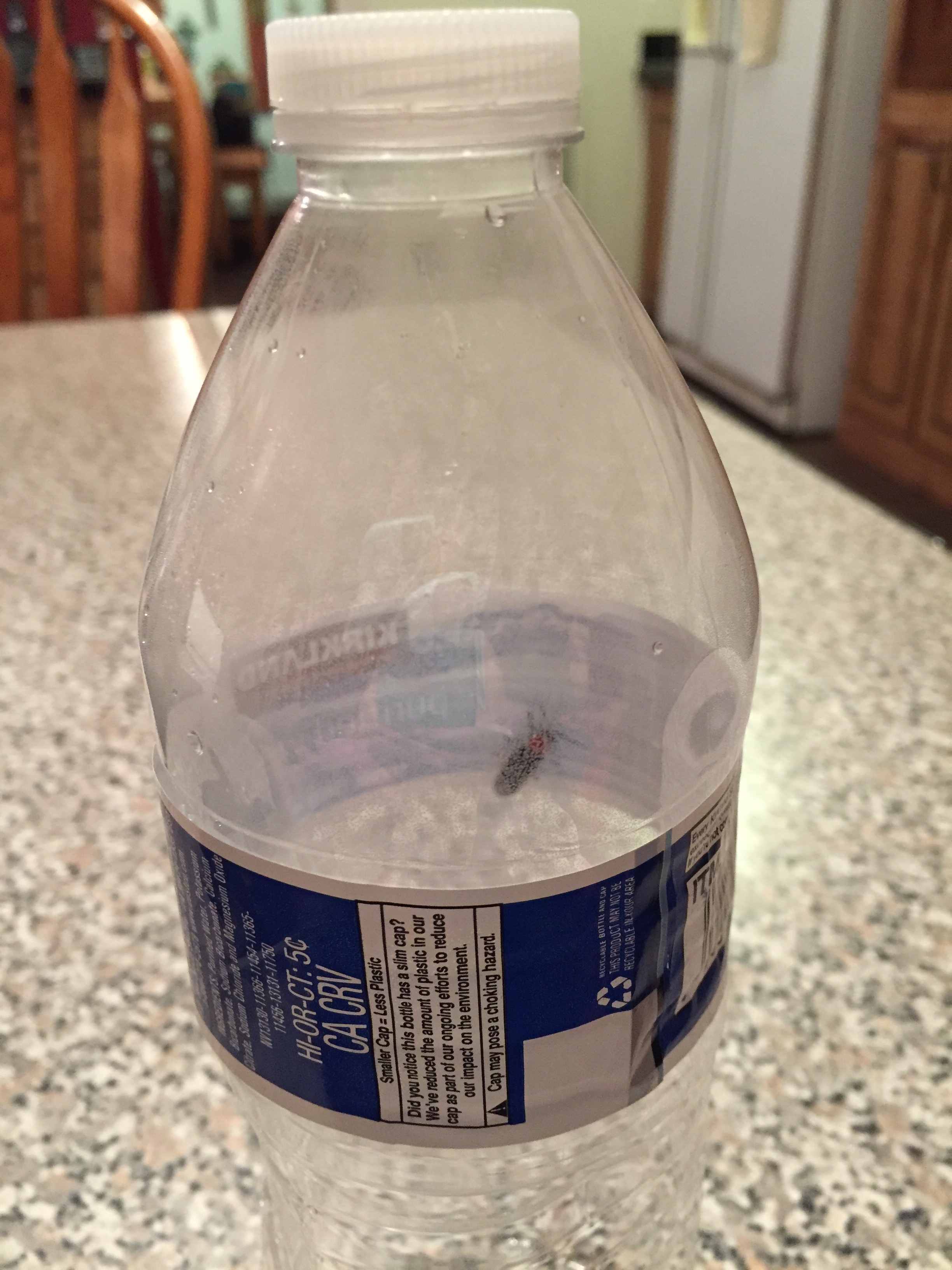 We stumbled upon some lightening bugs recently in my cousin's backyard and I was completely unprepared. The kids, however, couldn't care less if we put them in empty water bottles or mason jars. 