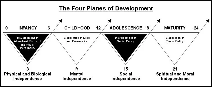Montessori Philosophy Explained: The Planes Of Development — Stepping Stones Montessori School