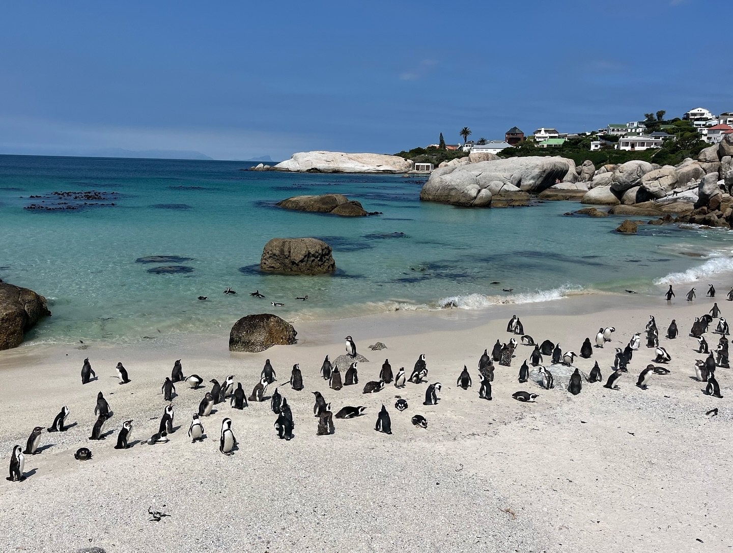 Cape Town 🤩