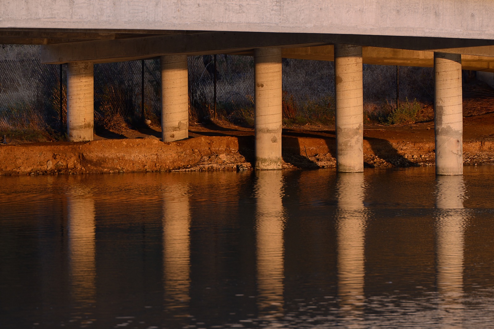DSC_5767-01.jpg