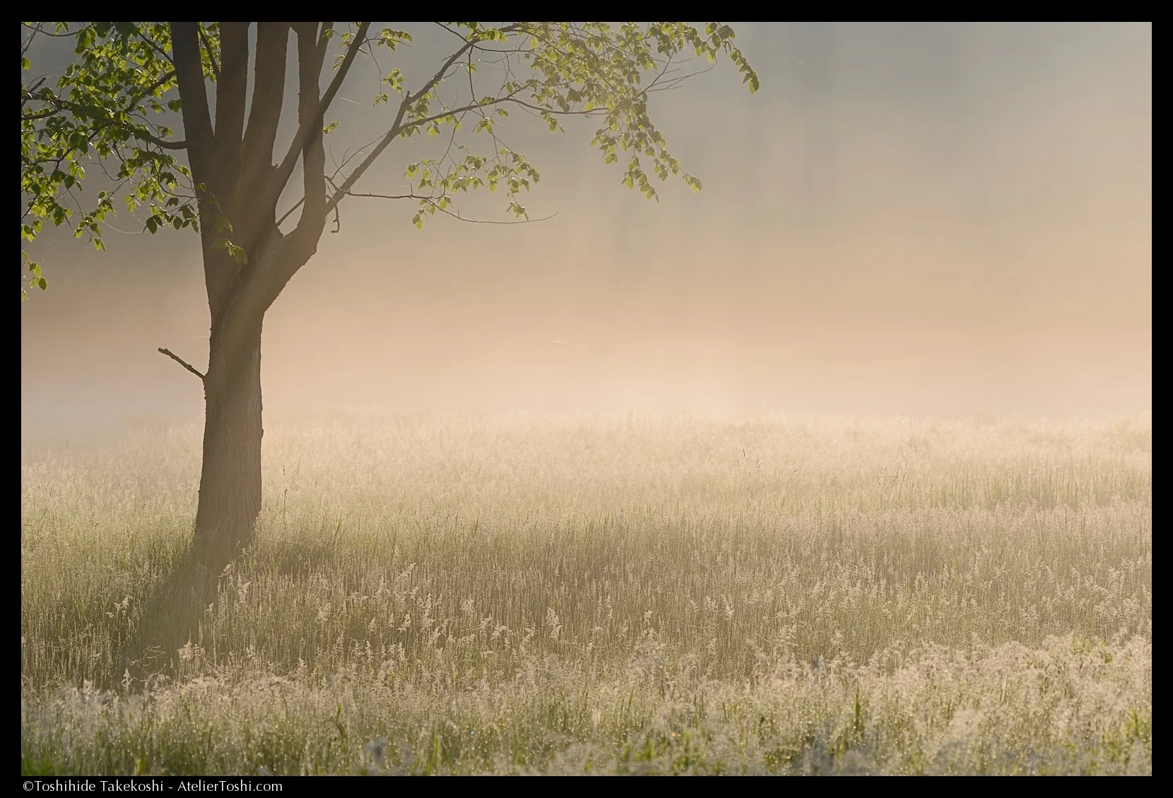 Landscape_02_FTWM.jpg