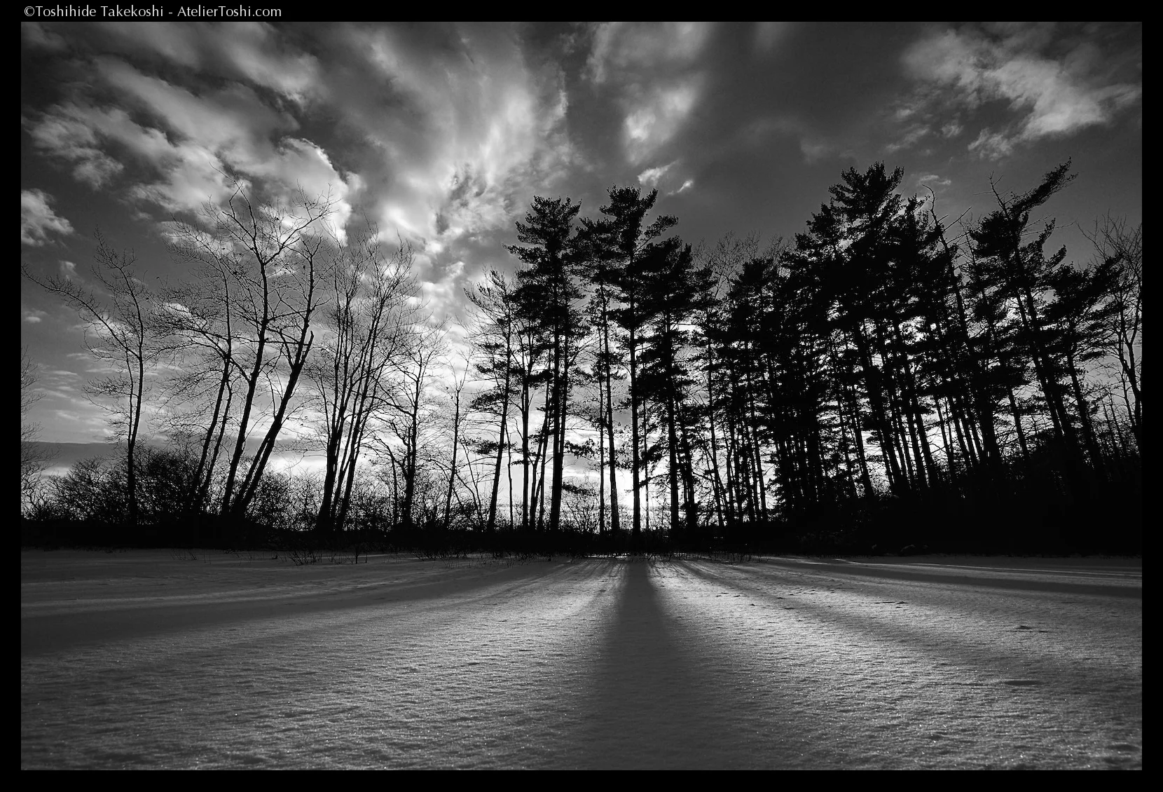 Landscape_08_FTWM.jpg