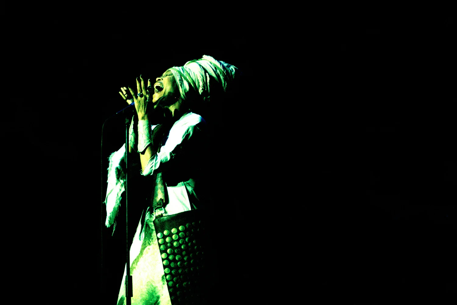 ERYKAH-2.jpg