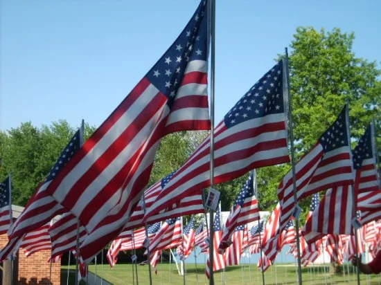  Field of Flags, Hayfield Mn. 