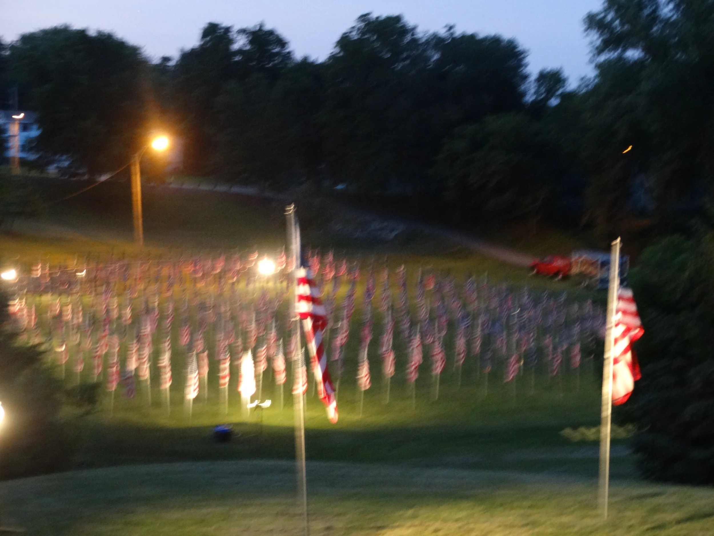  Field of Flags 